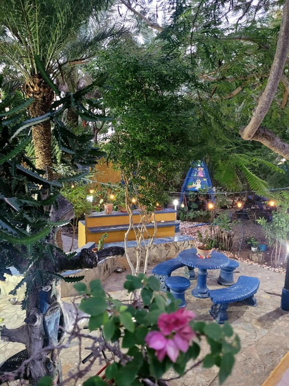 Steviewonderland Playa El Yaque Hotel Ngoại thất bức ảnh