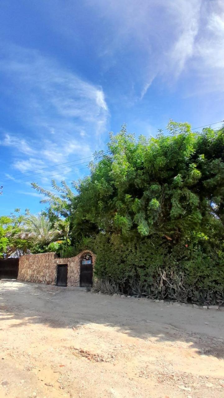 Steviewonderland Playa El Yaque Hotel Ngoại thất bức ảnh