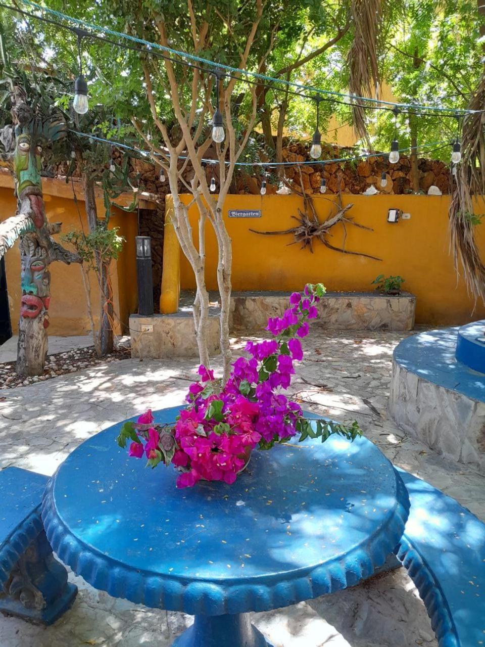 Steviewonderland Playa El Yaque Hotel Ngoại thất bức ảnh