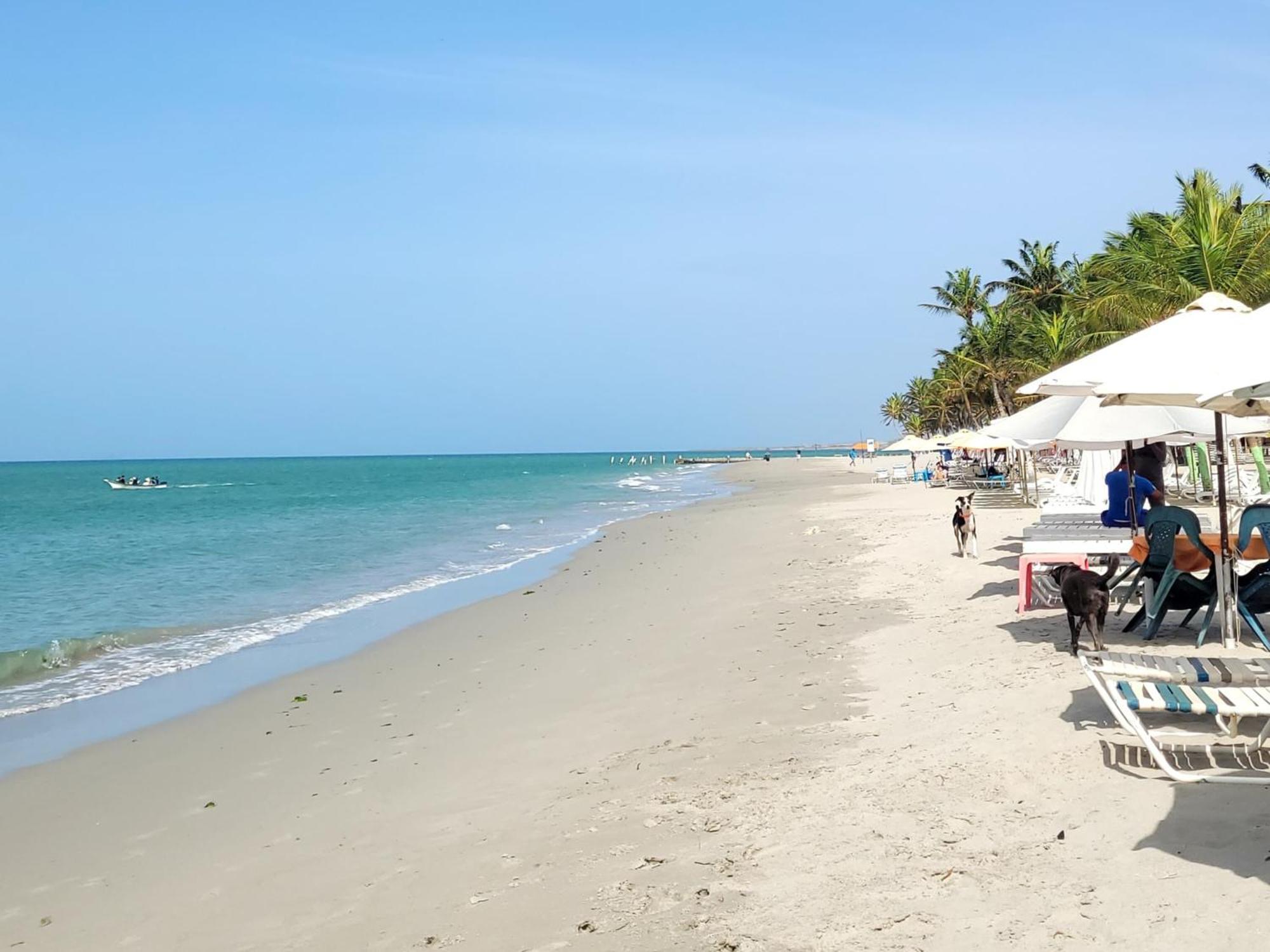Steviewonderland Playa El Yaque Hotel Ngoại thất bức ảnh